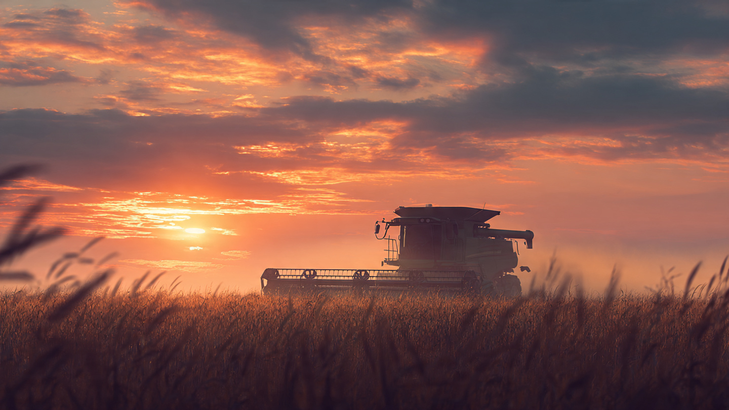 Banco do Brasil e o Agro: Crise de Crédito ou Oportunidade Escondida para Investidores e Produtores?