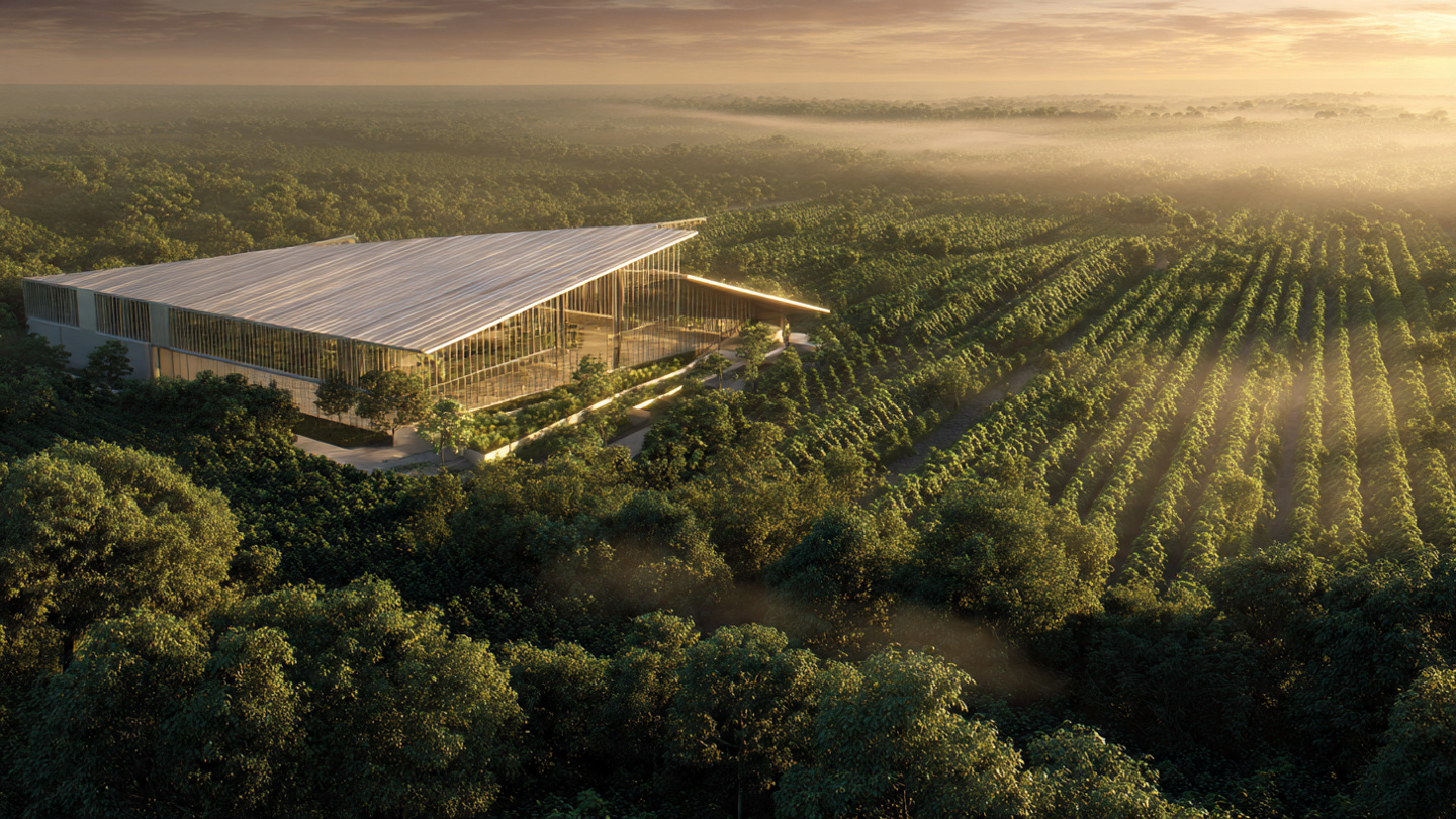 Agro Sustentável na Prática: Embalagem 100% Vegetal que Vira Adubo Revoluciona o Mercado