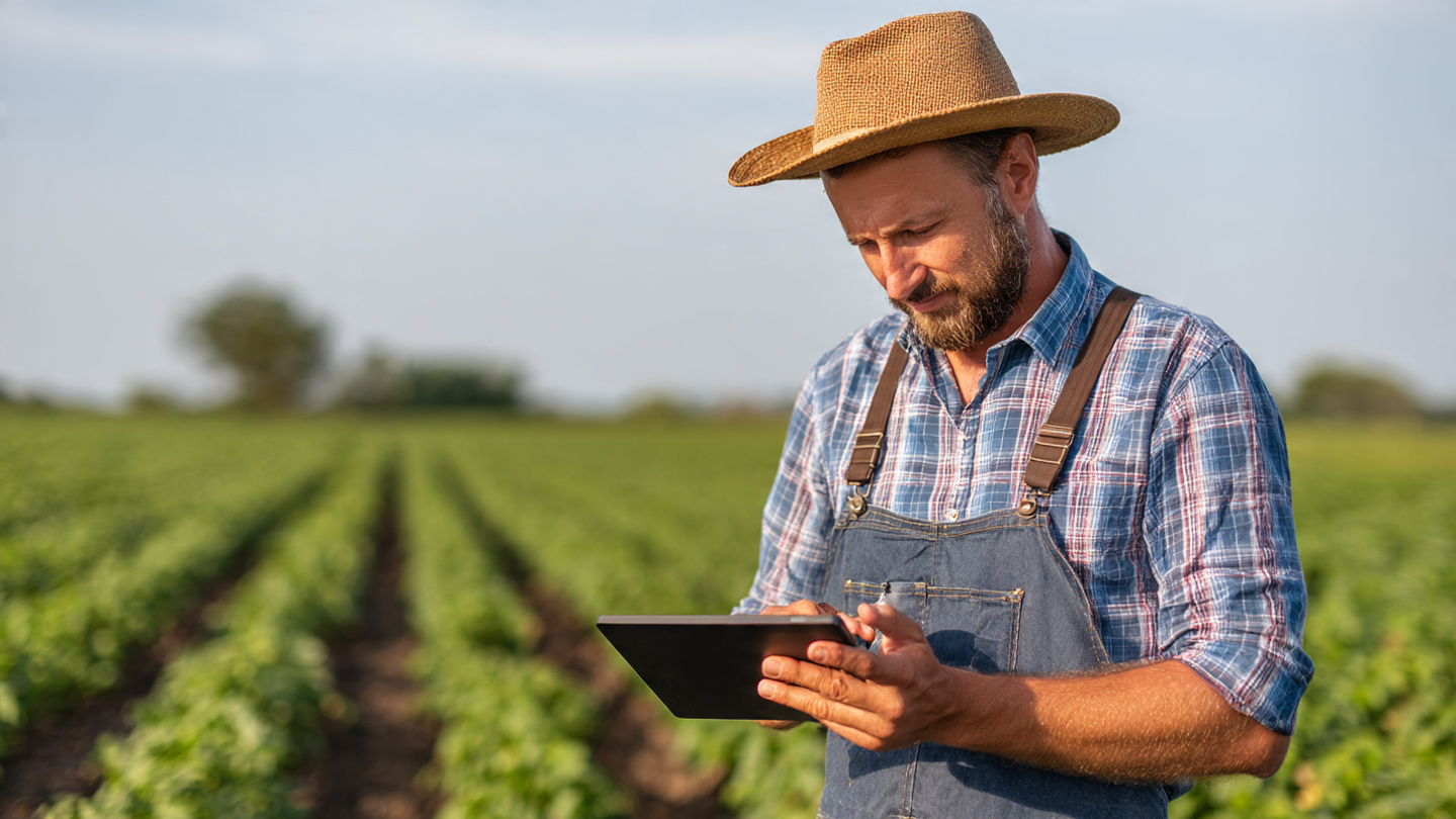 Contabilidade Rural e Ativos Biológicos: Como Mensurar a Riqueza que Cresce no Campo