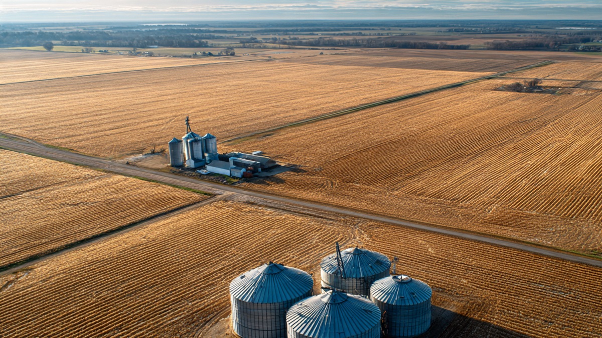 Custos Estimados no Agronegócio: Como Transformar Planejamento Orçamentário em Vantagem Competitiva