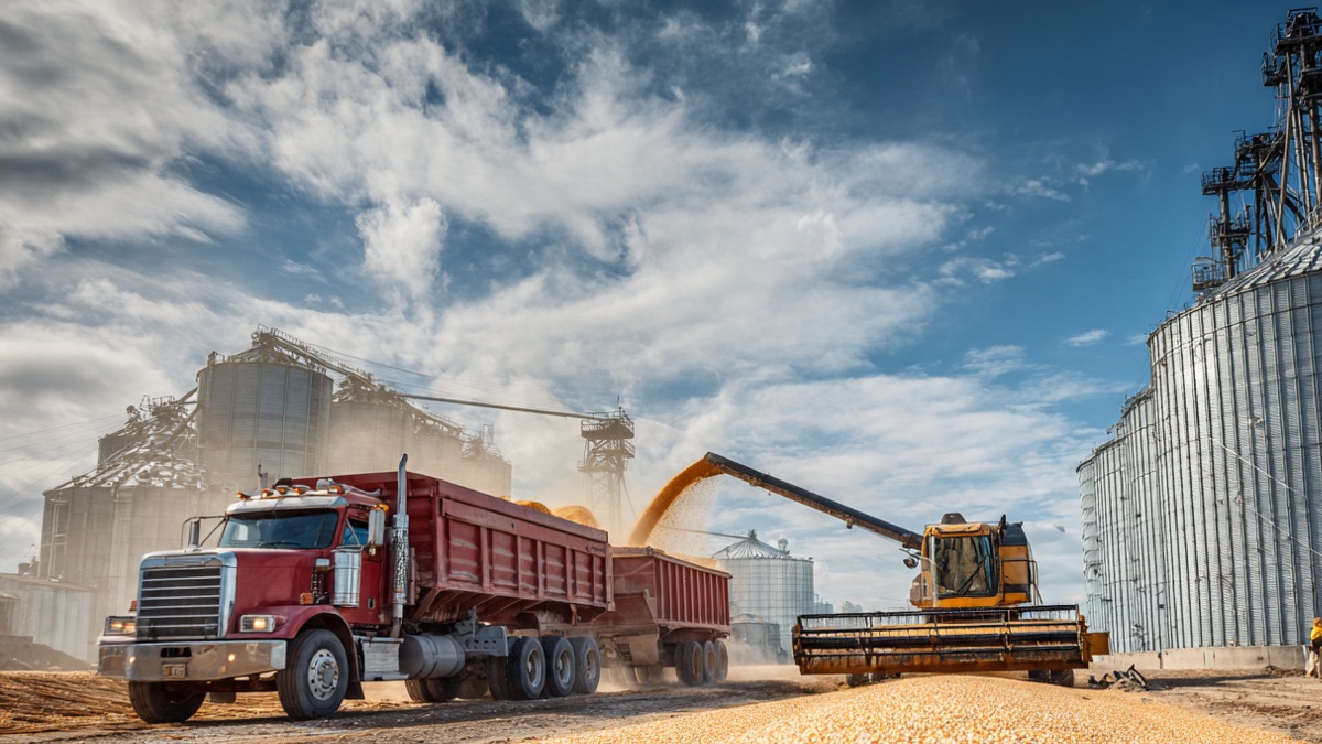 Cadeias Produtivas do Agronegócio Brasileiro: Como Gestão, Tecnologia e Inovação Estão Transformando o Campo