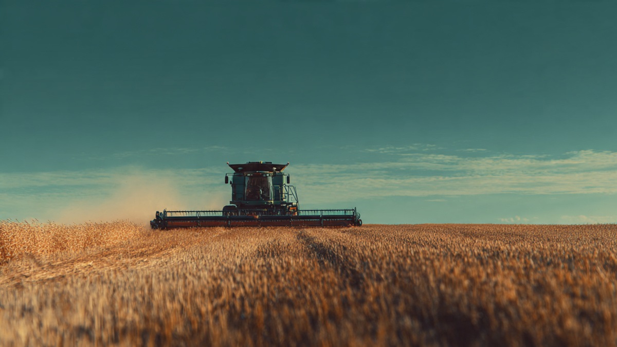 Gestão e Inteligência Tributária no Agronegócio: Como Reduzir Impostos e Aumentar a Rentabilidade Rural