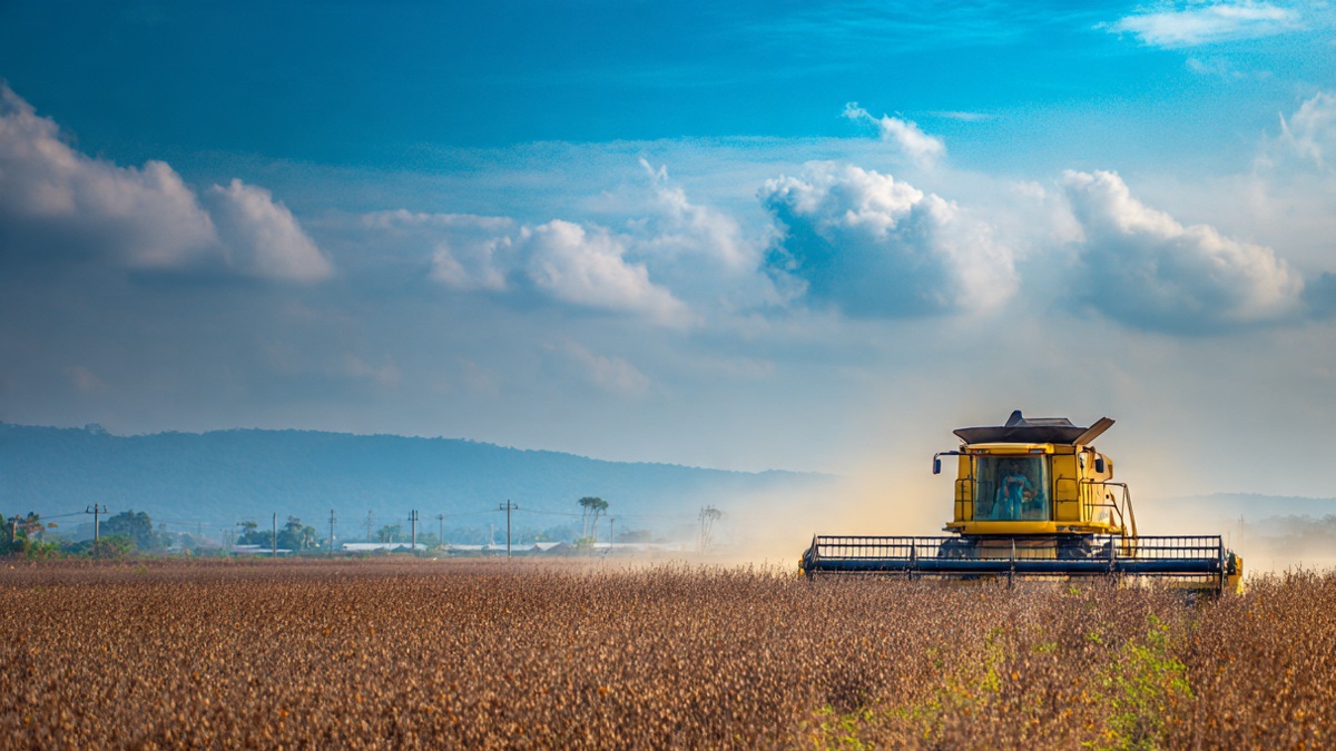 Inspeção de Soja para a China: Novas Regras Podem Impactar Exportações do Brasil e Exigem Estratégia no Agronegócio
