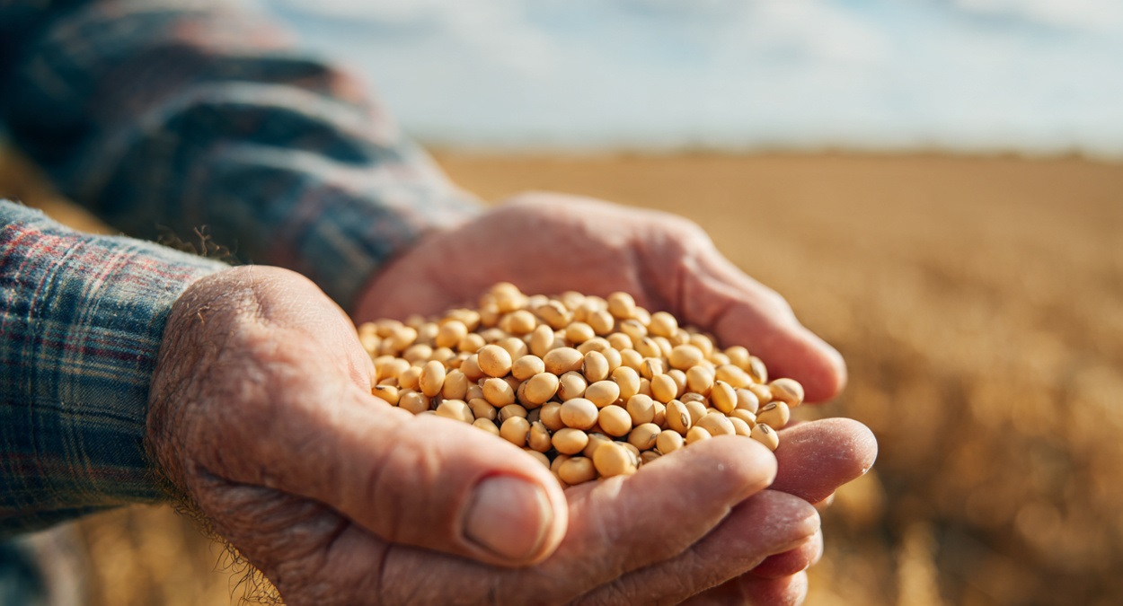 Custo de Produção da Soja por Hectare: Como Calcular, Atualizar Valores e Aumentar o Lucro no Agro