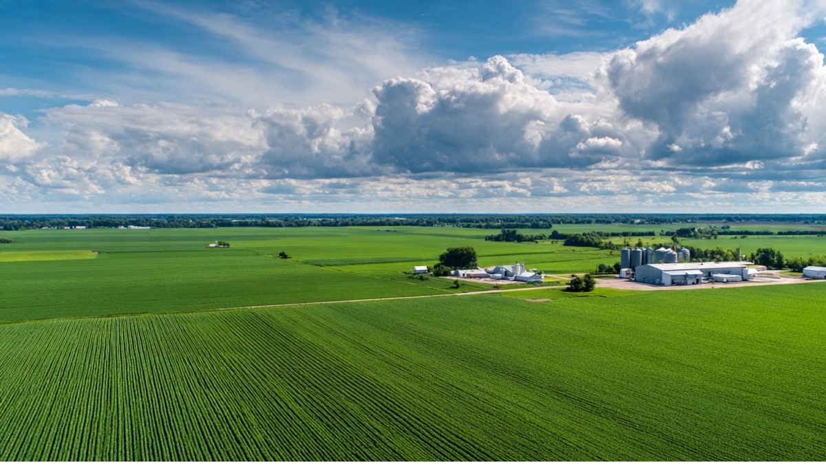 Matriz SWOT no Agronegócio: O Guia Prático para Transformar Sua Fazenda em um Negócio Lucrativo