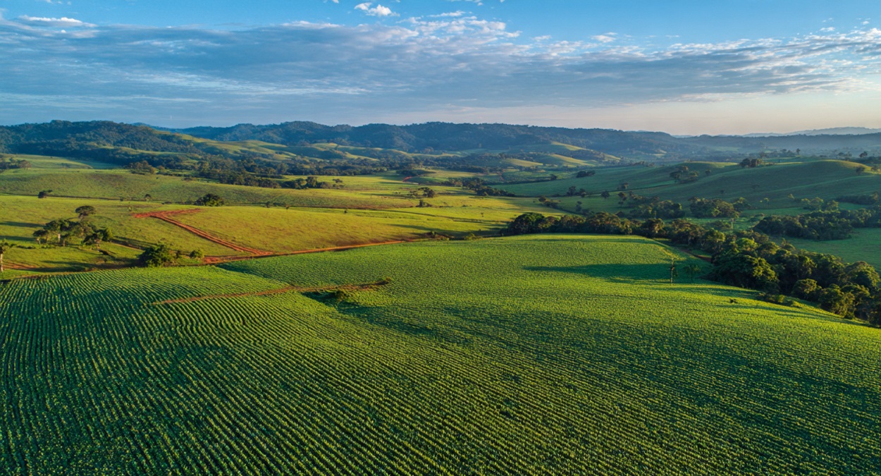 ESG no Agronegócio Brasileiro: Como Atender às Exigências da Europa e Lucrar Mais com Sustentabilidade