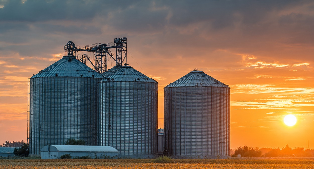 Silo Próprio no Agronegócio: Como Transformar Armazenagem em Lucro Real e Ganho Estratégico