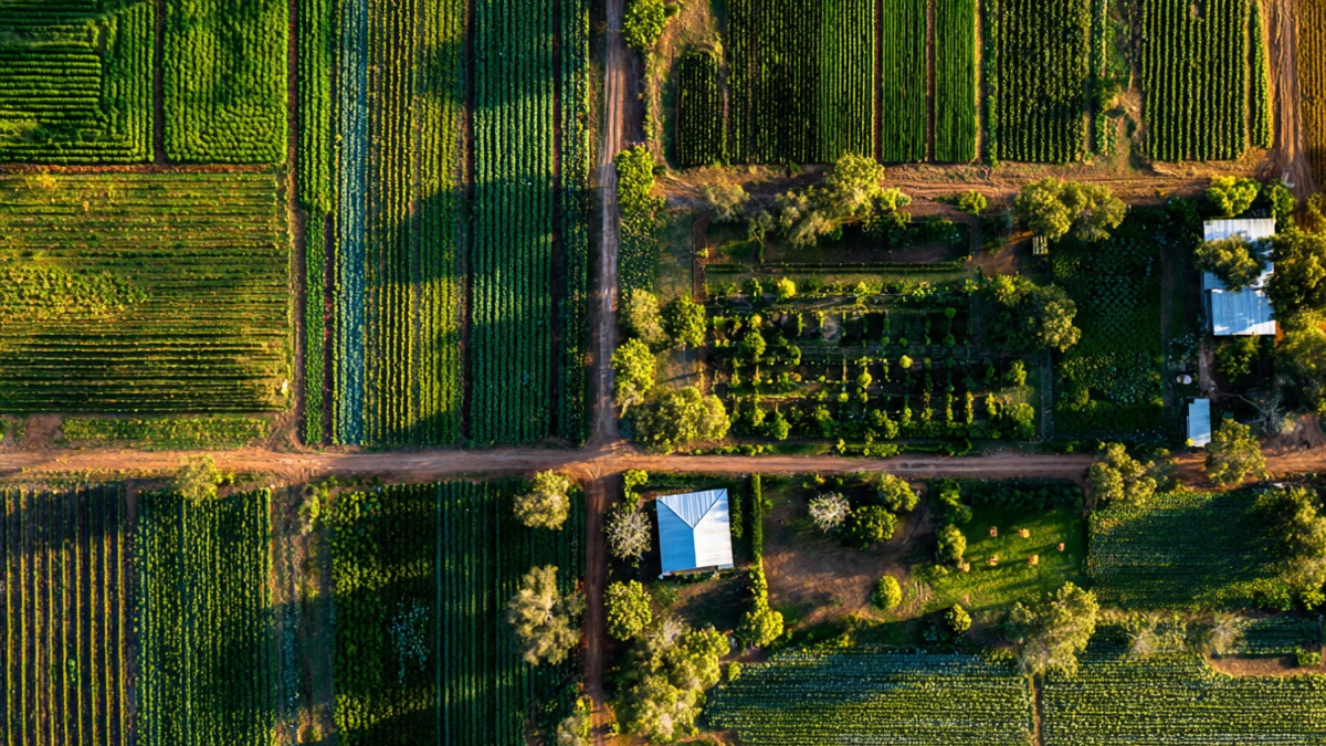 COE e COT no Agronegócio: O Fator Decisivo para a Sustentabilidade Financeira da Fazenda