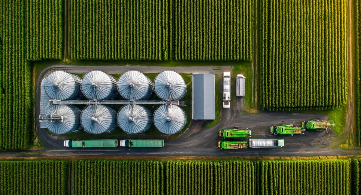 Agricultura tradicional ou gestão sistêmica: O que dá mais lucro?