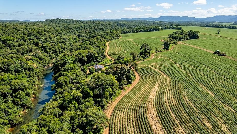 Regularização de imóvel rural: Como proteger seu patrimônio e evitar prejuízos no agronegócio.