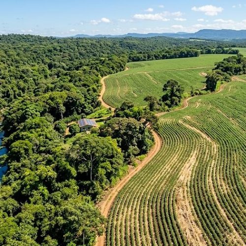 Regularização de imóvel rural: Como proteger seu patrimônio e evitar prejuízos no agronegócio.