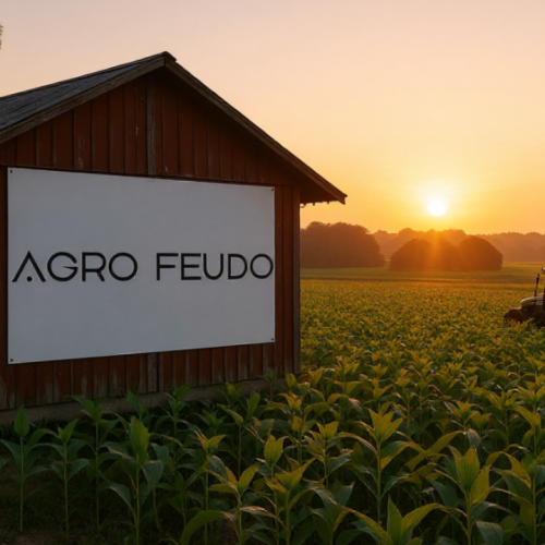 Origem do Agronegócio: Feudalismo, Estrutura e Declínio do Sistema que Moldou a Europa Medieval.