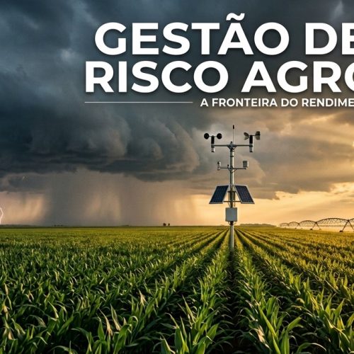 Gestão de Riscos no Agronegócio: como proteger a margem e aumentar a rentabilidade