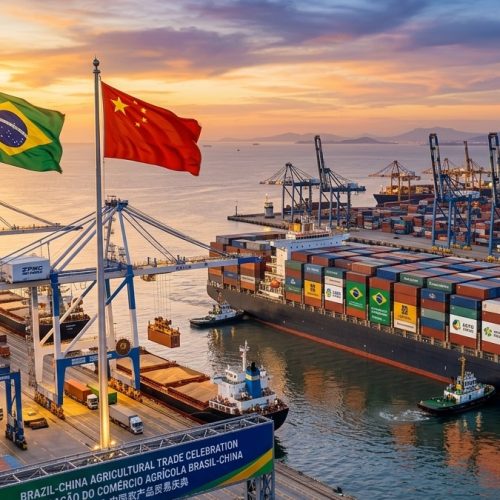 Plano Quinquenal da China: impacto no agronegócio