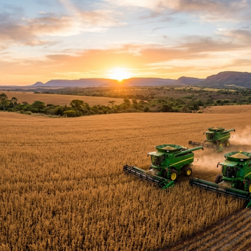 Matopiba: Como a nova fronteira agrícola multiplica a rentabilidade