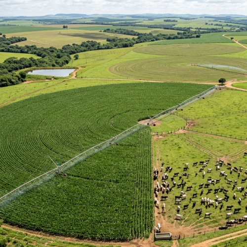 Nutrição animal: tecnologias que estão revolucionando a pecuária