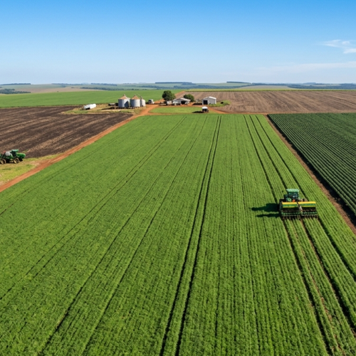 Crédito de Carbono no Agronegócio: Como transformar sustentabilidade em lucro