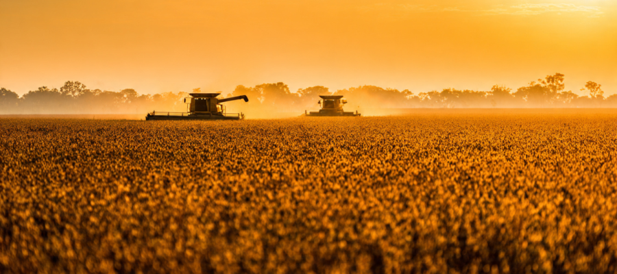 Devolução de 20 Navios Pela China, Presença de Ervas Daninhas na Soja, Evidencia falhas de Gestão Dentro da Porteira, Pode Estar Impactando Negativamente a Imagem do Agronegócio Brasileiro.