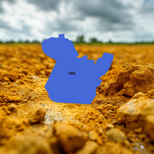 Argila Amarela no Norte do Pará: Como Transformar Desafios Naturais em Alta Produtividade no Agronegócio