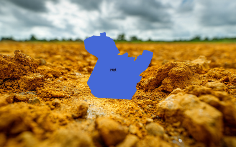 Argila Amarela no Norte do Pará: Como Transformar Desafios Naturais em Alta Produtividade no Agronegócio