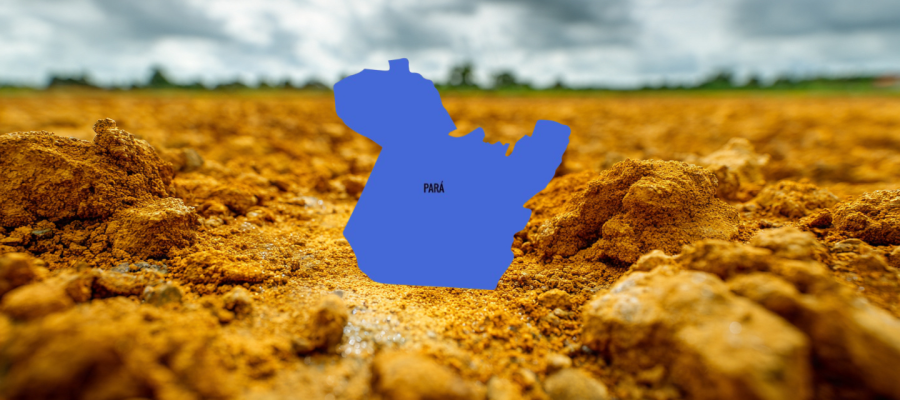 Argila Amarela no Norte do Pará: Como Transformar Desafios Naturais em Alta Produtividade no Agronegócio