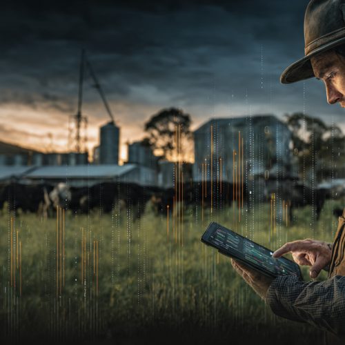 8 Características das Fazendas Mais Rentáveis: O Guia Completo Para Triplicar os Resultados no Agro