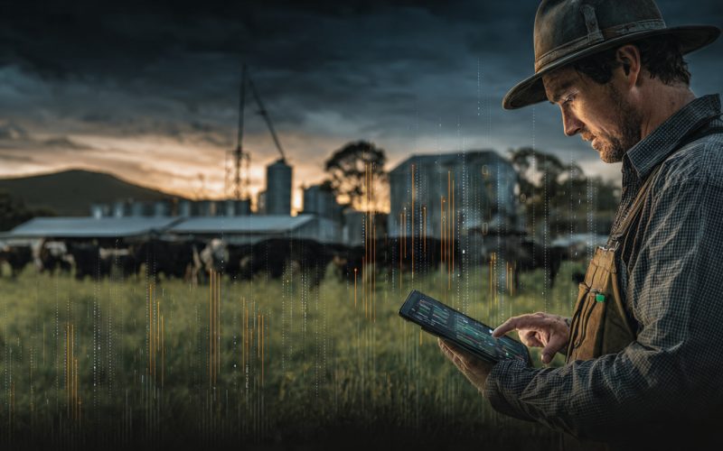 8 Características das Fazendas Mais Rentáveis: O Guia Completo Para Triplicar os Resultados no Agro