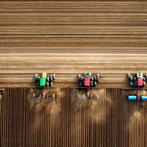 Você pode estar produzindo bem… e lucrando mal: o erro de gestão que custa caro na fazenda
