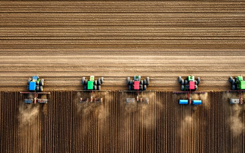 Você pode estar produzindo bem… e lucrando mal: o erro de gestão que custa caro na fazenda