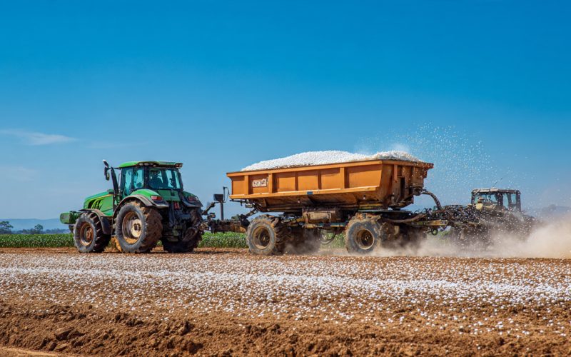 Qual a Dose Correta de Calcário no Solo? Entenda Por Que Baixas Doses Não Funcionam