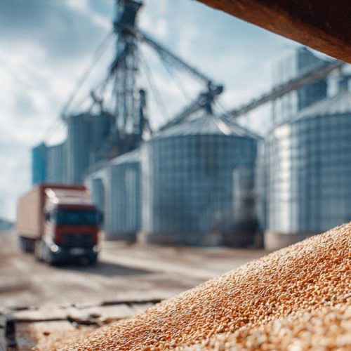 Como Dominar os Fatores que Influenciam o Mercado Agrícola e Aumentar a Rentabilidade no Agronegócio