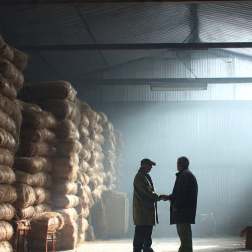 Estruturas de Mercado no Agronegócio: Como Entender o Jogo e Aumentar sua Lucratividade