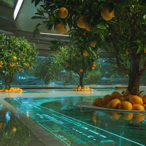 A Cadeia do Suco de Laranja: Como o Brasil Domina o Mercado Global e Define o Futuro do Agro