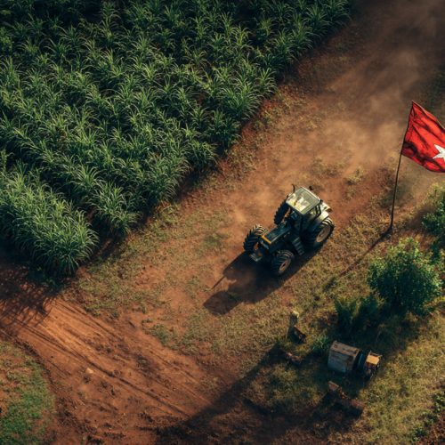 Governo Federal Autoriza Desapropriação de 7 Fazendas e Impulsiona a Reforma Agrária no Brasil