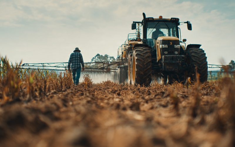 Adubação Orgânica Inteligente: Como “Produzir” Nutrientes no Solo Mesmo Sem Cama de Frango
