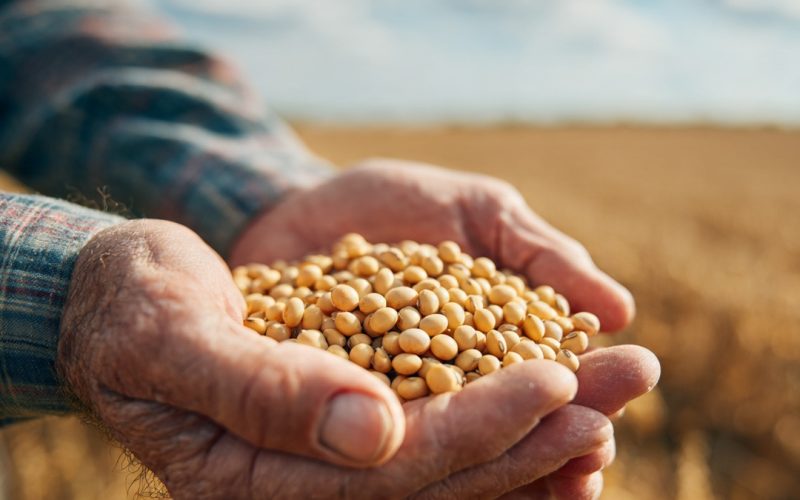 Custo de Produção da Soja por Hectare: Como Calcular, Atualizar Valores e Aumentar o Lucro no Agro