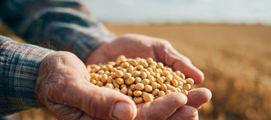 Custo de Produção da Soja por Hectare: Como Calcular, Atualizar Valores e Aumentar o Lucro no Agro