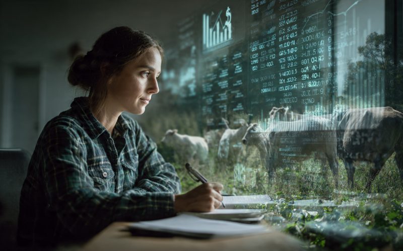 Gestão dos Negócios Rurais: O Caminho Real para Lucro, Sustentabilidade e Segurança no Campo