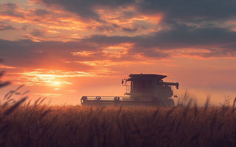 Banco do Brasil e o Agro: Crise de Crédito ou Oportunidade Escondida para Investidores e Produtores?