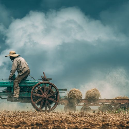 A Evolução da Mecanização Agrícola no Brasil: Do Braço Forte à Agricultura Inteligente