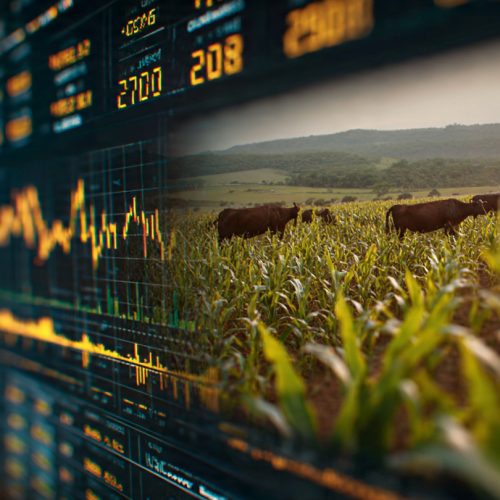 Como Funcionam as Operações com Commodities Agrícolas na B3