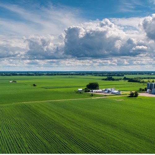 Matriz SWOT no Agronegócio: O Guia Prático para Transformar Sua Fazenda em um Negócio Lucrativo