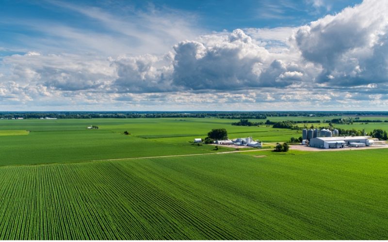 Matriz SWOT no Agronegócio: O Guia Prático para Transformar Sua Fazenda em um Negócio Lucrativo