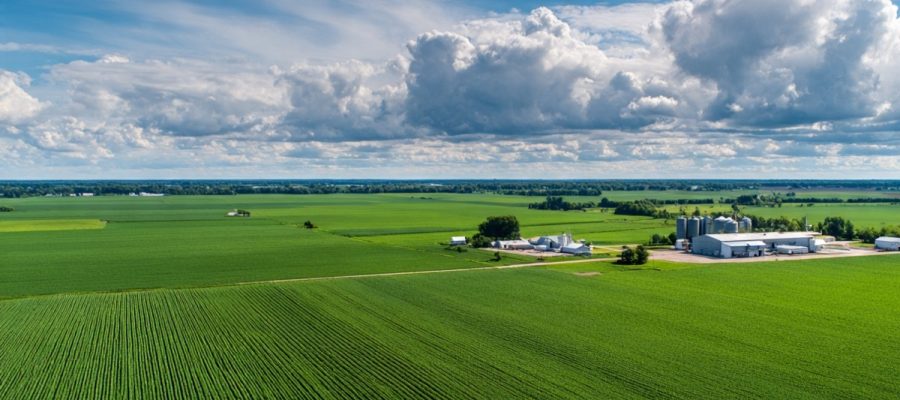 Matriz SWOT no Agronegócio: O Guia Prático para Transformar Sua Fazenda em um Negócio Lucrativo