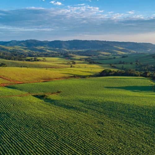 ESG no Agronegócio Brasileiro: Como Atender às Exigências da Europa e Lucrar Mais com Sustentabilidade