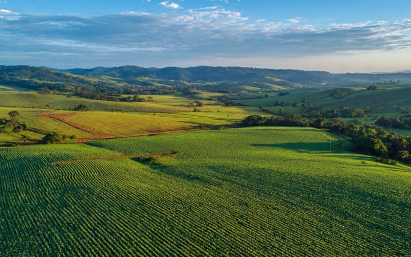 ESG no Agronegócio Brasileiro: Como Atender às Exigências da Europa e Lucrar Mais com Sustentabilidade