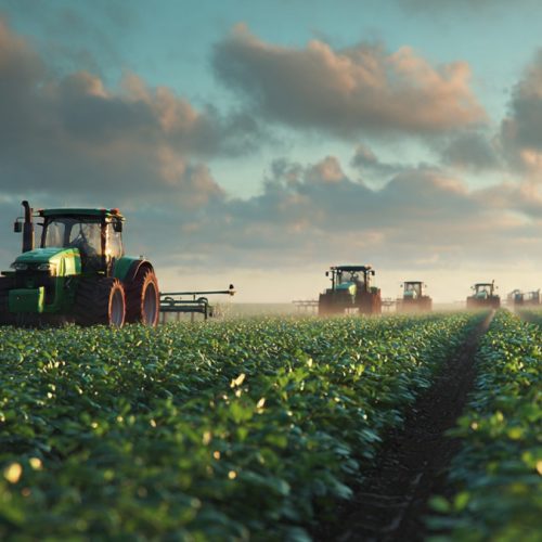 Liderança, ESG e Análise Financeira: O Caminho para Atrair Investimentos no Agronegócio