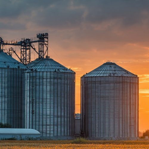 Silo Próprio no Agronegócio: Como Transformar Armazenagem em Lucro Real e Ganho Estratégico