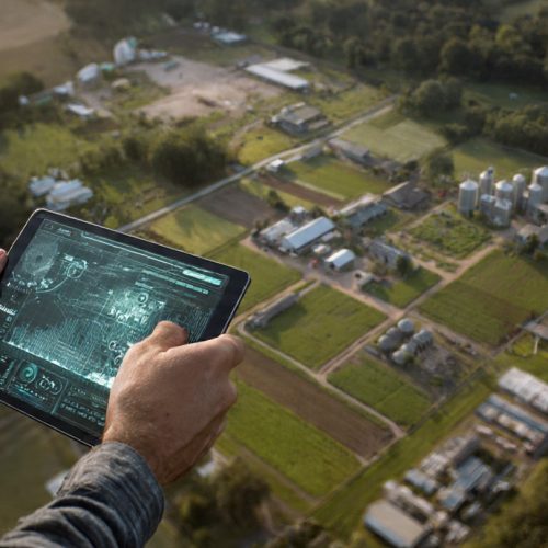 Como Planejar Uma Fazenda de Sucesso: Guia Completo Para Resultados Consistentes no Agro.