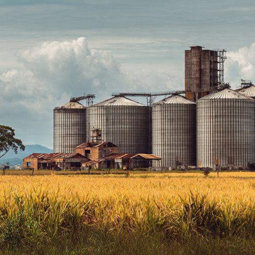 Armazenagem Rural: Como Silos Próprios Podem Multiplicar a Rentabilidade do Produtor